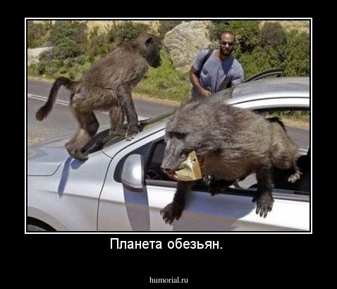Планета обезьян. 