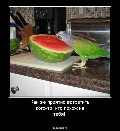 Как же приятно встретить кого-то, кто похож на тебя!