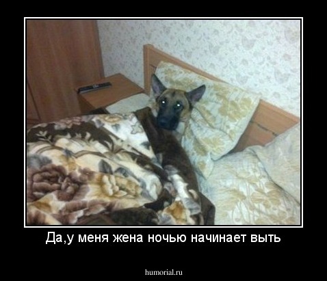Да,у меня жена ночью начинает выть