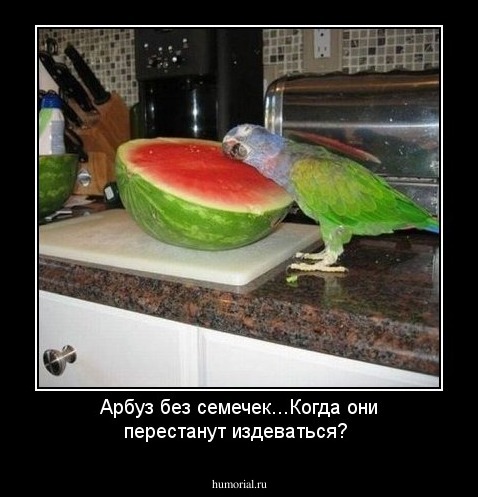 Арбуз без семечек...Когда они перестанут издеваться?