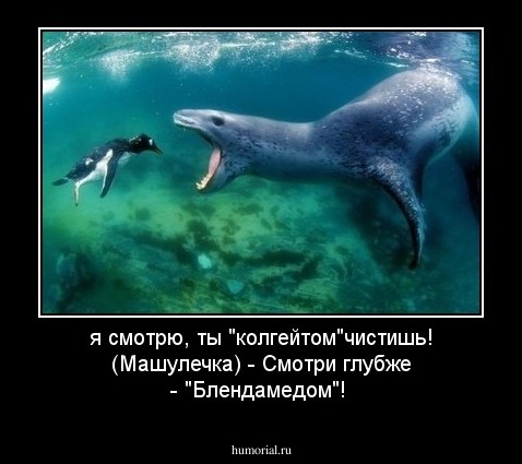 я смотрю, ты "колгейтом"чистишь! (Машулечка) - Смотри глубже - "Блендамедом"!