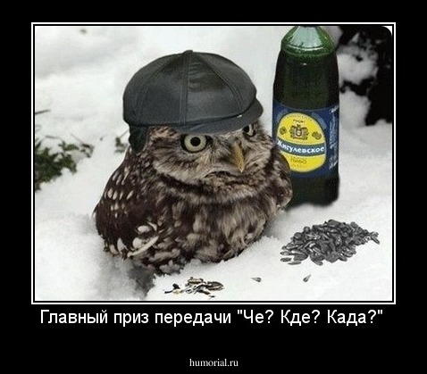 Главный приз передачи "Че? Кде? Када?" 