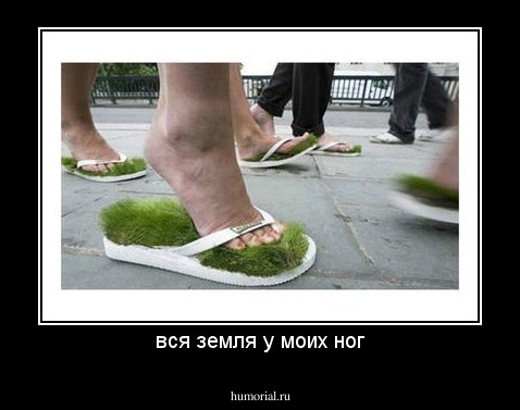 вся земля у моих ног