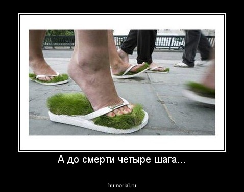 А до смерти четыре шага...