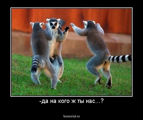 -да на кого ж ты нас...?