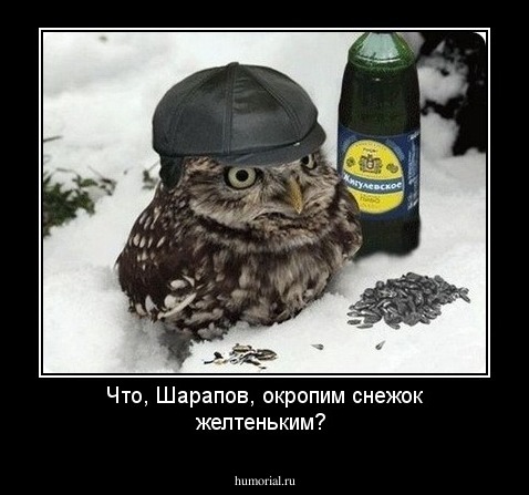  Что, Шарапов, окропим снежок желтеньким?