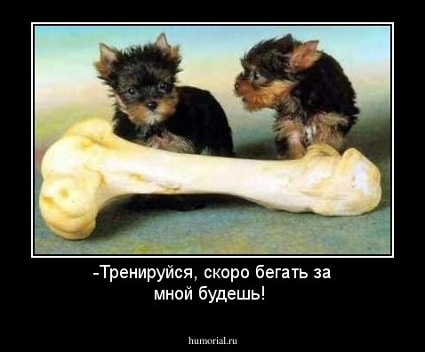 -Тренируйся, скоро бегать за мной будешь!