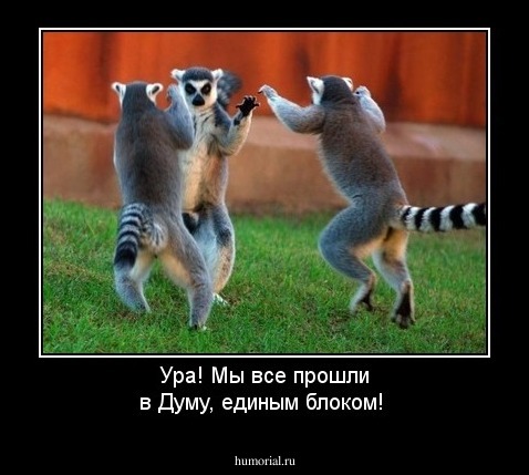 Ура! Мы все прошли в Думу, единым блоком!