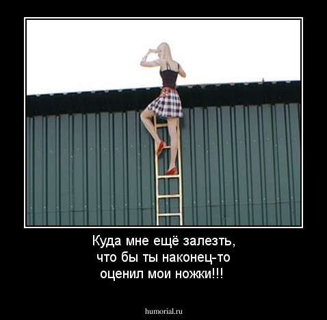Куда мне ещё залезть, что бы ты наконец-то оценил мои ножки!!!