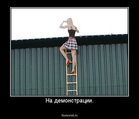 На демонстрации.