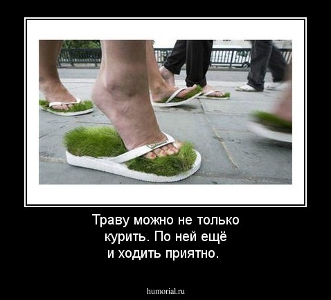 Траву можно не только курить. По ней ещё и ходить приятно.