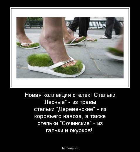 Новая коллекция стелек! Стельки "Лесные" - из травы, стельки "Деревенские" - из коровьего навоза, а также стельки "Сочинские" - из гальки и окурков!