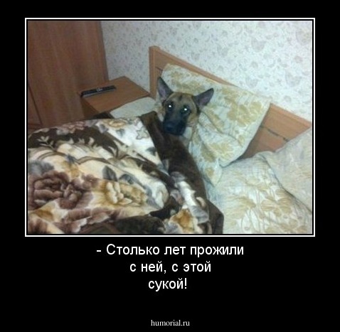 - Столько лет прожили с ней,  с этой сукой!