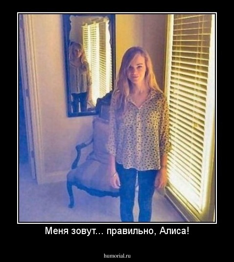 Меня зовут... правильно, Алиса!