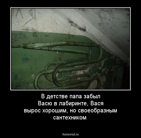 В детстве папа забыл Васю в лабиринте, Вася вырос хорошим, но своеобразным сантехником