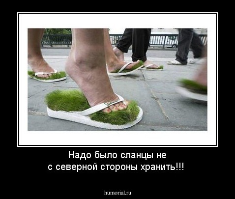 Надо было сланцы не с северной стороны хранить!!!