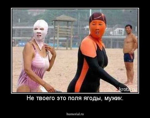 Не твоего это поля ягоды, мужик.