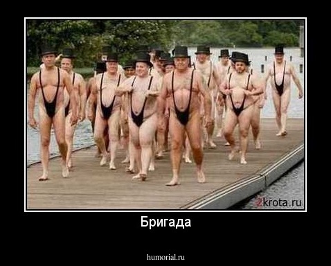 Бригада