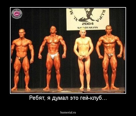 Ребят, я думал это гей-клуб...
