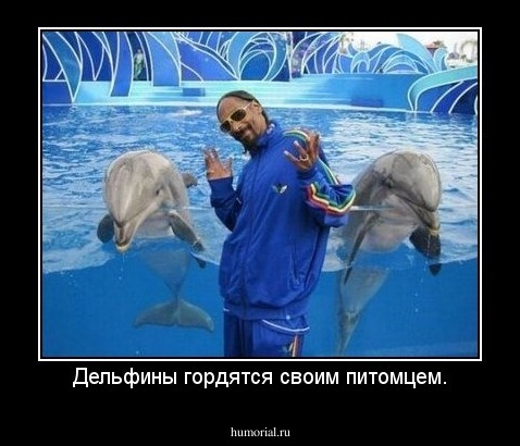 Дельфины гордятся своим питомцем.