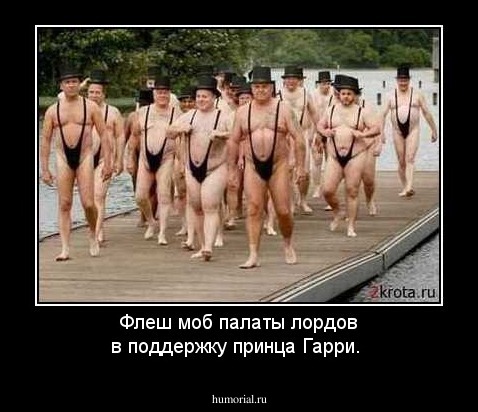 Флеш моб палаты лордов в поддержку принца Гарри.