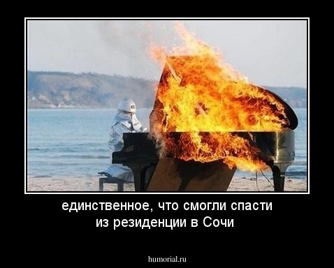 единственное, что смогли спасти из резиденции в Сочи
