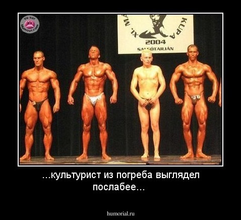 ...культурист  из погреба выглядел послабее...
