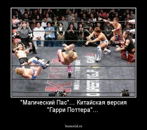 "Магический Пас"... Китайская версия "Гарри Поттера"...