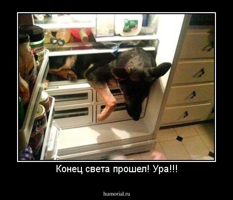 Конец света прошел! Ура!!!