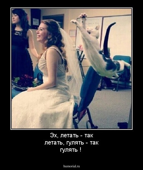 Эх, летать - так летать, гулять - так гулять !