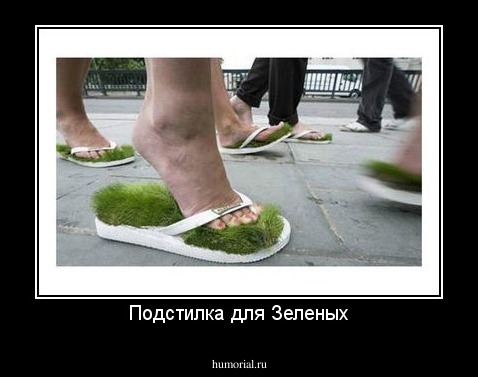 Подстилка для Зеленых