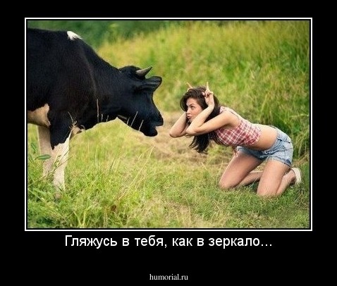 Гляжусь в тебя, как в зеркало...