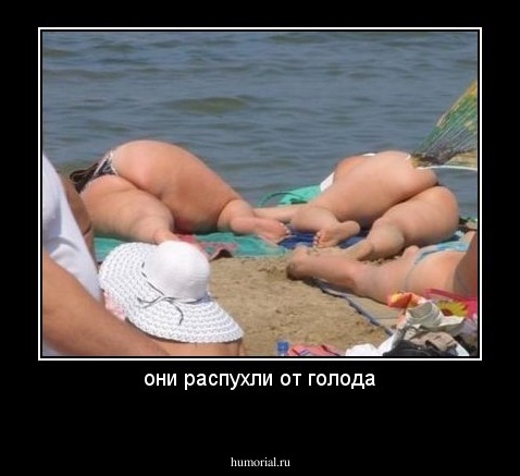 они распухли от голода
