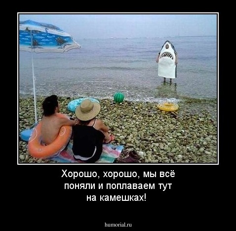Хорошо, хорошо, мы всё поняли и поплаваем  тут на камешках!