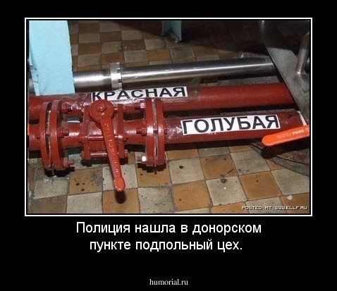 Полиция нашла в донорском пункте подпольный цех. 