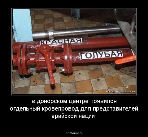 в донорском центре появился отдельный кровепровод для представителей арийской нации
