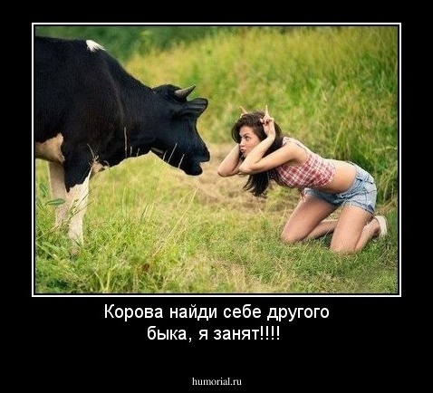 Корова найди себе другого быка, я занят!!!!