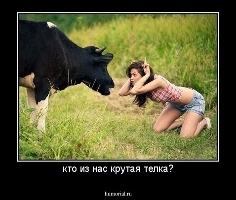 кто из нас крутая телка?