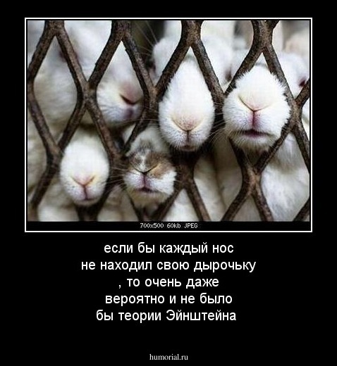если бы каждый нос не находил свою дырочьку , то очень даже вероятно и не было бы теории Эйнштейна