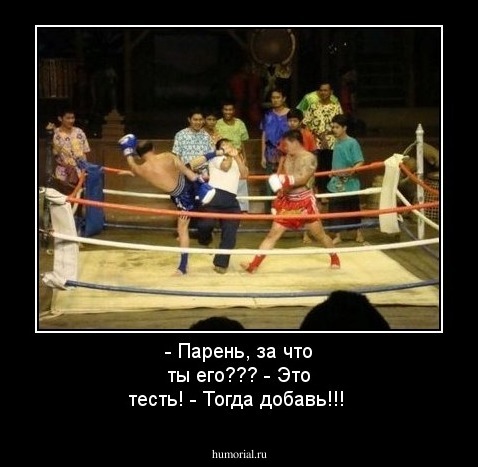 - Парень, за что ты его???
- Это тесть!
- Тогда добавь!!!
