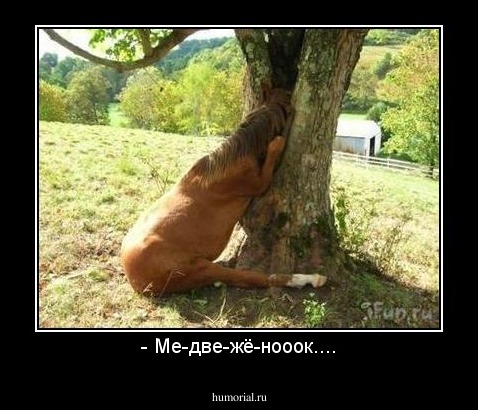 - Ме-две-жё-нооок....