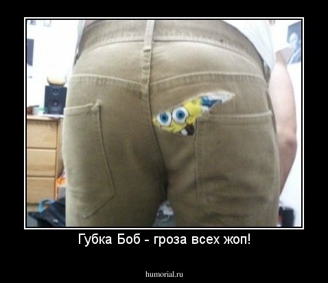 Губка Боб - гроза всех жоп!