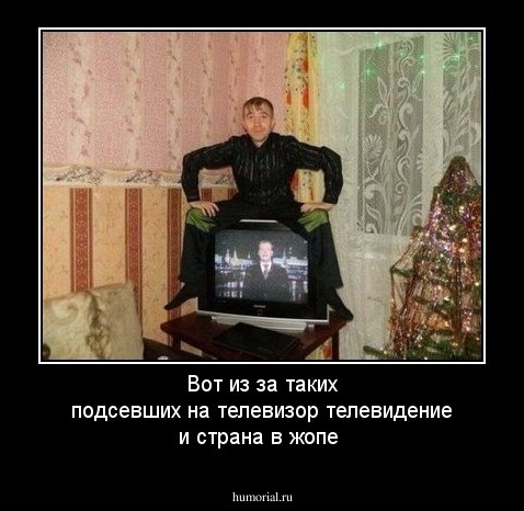 Вот из  за  таких  подсевших  на  телевизор
телевидение  и  страна  в  жопе