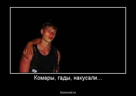 Комары, гады, накусали...