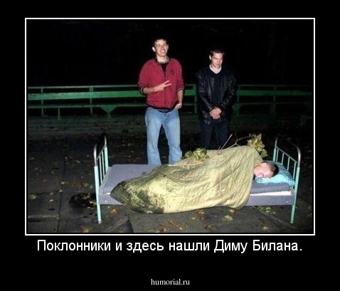 Поклонники и здесь нашли Диму Билана.