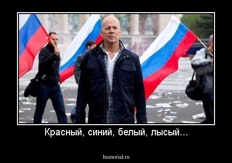 Красный, синий, белый, лысый...
