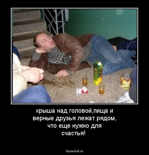 крыша над головой,пища и верные друзья лежат рядом, что еще нужно для счастья!