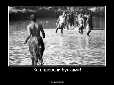 Кен, шевели булками!