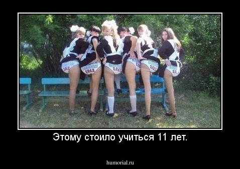 Этому стоило учиться 11 лет.