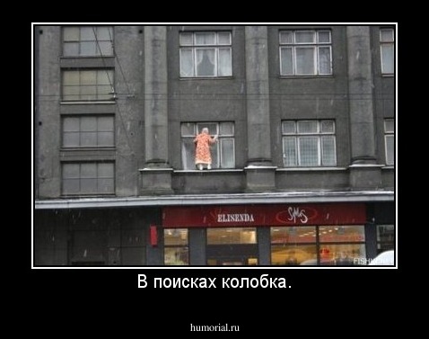 В поисках колобка.